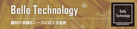 Belle Technology