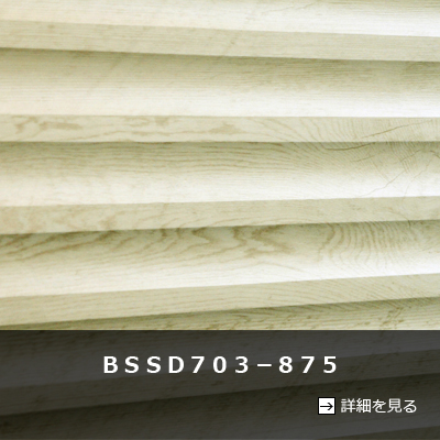 ＢＳＳＤ７０３－８７５