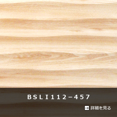 ＢＳＬＩ１１２－４５７