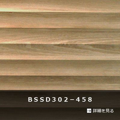 ＢＳＳＤ３０２－４５８