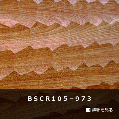 ＢＳＣＲ１０５－９７３