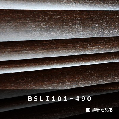 ＢＳＬＩ１０１－４９０