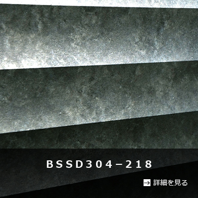 ＢＳＳＤ３０４－２１８