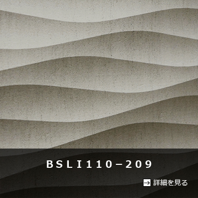 ＢＳＬＩ１１０－２０９