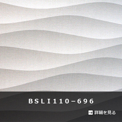 ＢＳＬＩ１１０－６９６