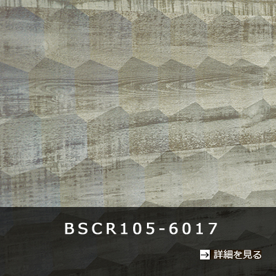 ＢＳＣＲ１０５－６０１７