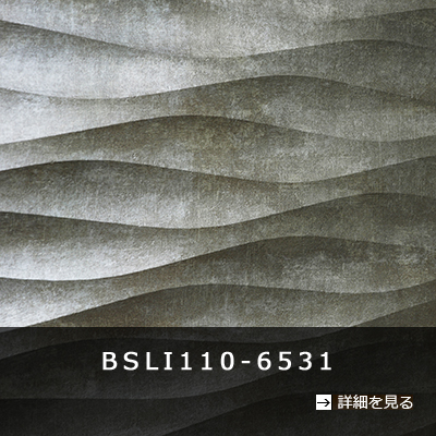 ＢＳＬＩ１１０－６５３１